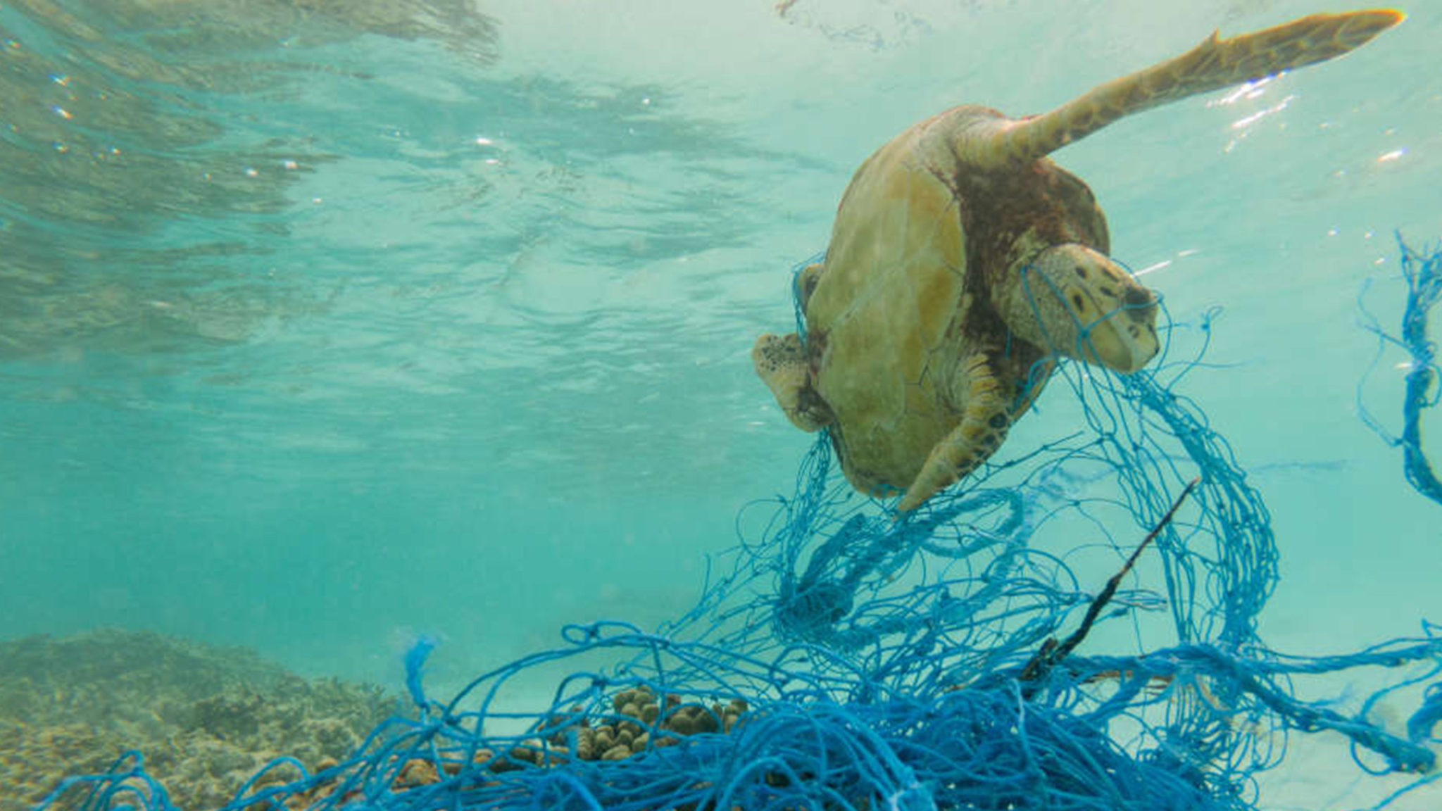 DuraOcean Der recycelte Gartenstuhl aus Ozeanplastik